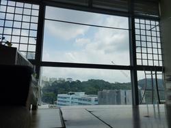 Hillview Regency (D23), Condominium #149669782